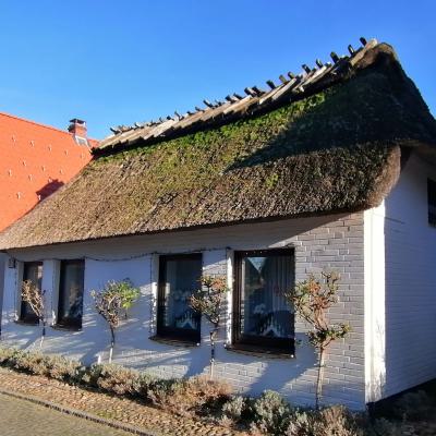 Whatsapp Image 2025 12 29 At 15.10.37 5