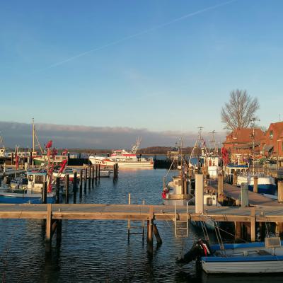 Whatsapp Image 2025 12 29 At 15.10.37 6