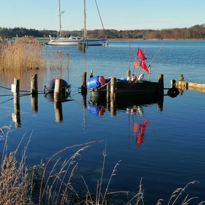 Whatsapp Image 2025 12 29 At 15.12.22