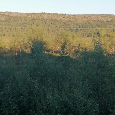 Whatsapp Bild 2024 08 06 Um 20.01.24 5f36102e