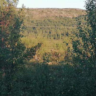 Whatsapp Bild 2024 08 06 Um 20.01.24 69ad60b8