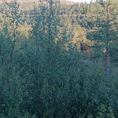 Whatsapp Bild 2024 08 06 Um 20.01.24 7def16b6