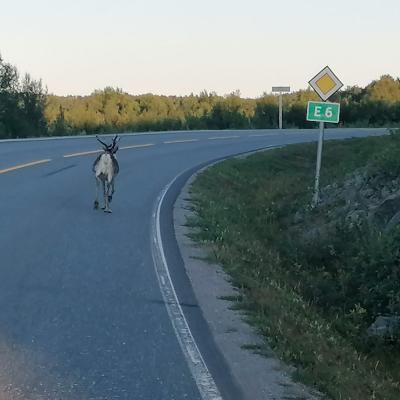 Whatsapp Bild 2024 08 06 Um 21.44.45 285be79f