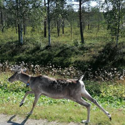 Whatsapp Bild 2024 08 06 Um 21.44.46 67411fff