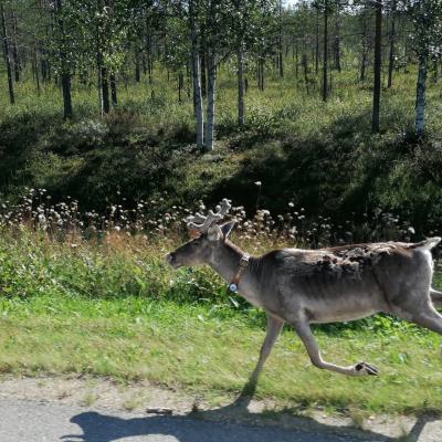 Whatsapp Bild 2024 08 06 Um 21.44.46 7baafc41