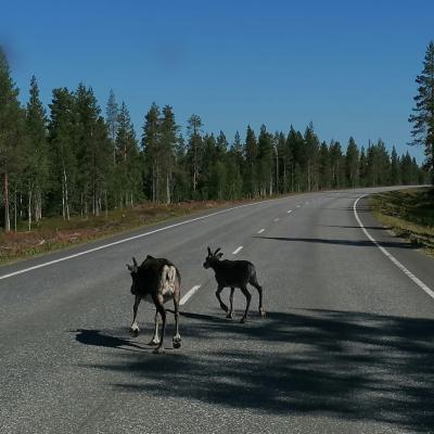 Whatsapp Bild 2024 08 06 Um 21.44.46 E9b138eb