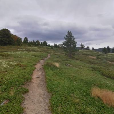 Whatsapp Bild 2024 08 18 Um 16.24.51 38a54a30