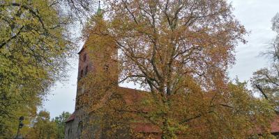 Whatsapp Bild 2025 11 02 Um 11.05.24 74cbba23