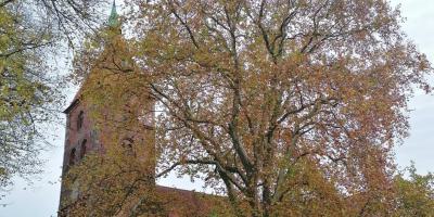 Whatsapp Bild 2025 11 02 Um 11.05.24 B7febb42