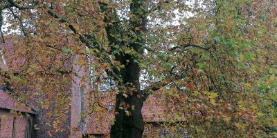 Whatsapp Bild 2025 11 02 Um 11.05.25 0bb31586